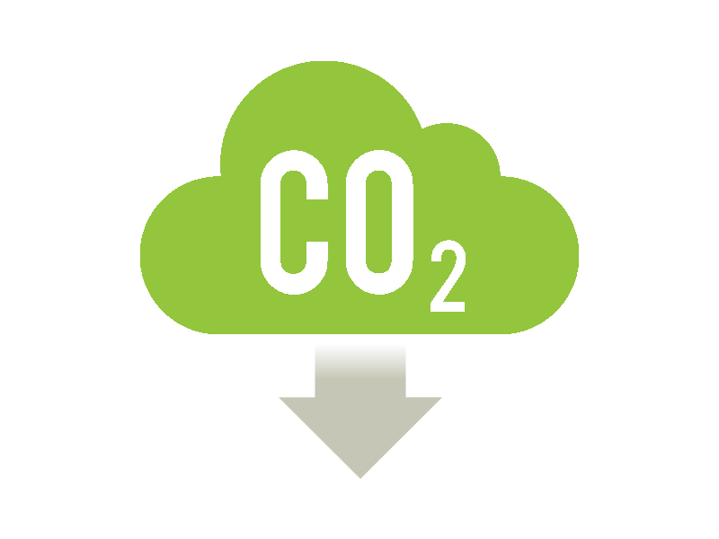 Carbon Zero